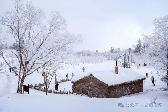 等一场雪，念一座城！安图雪岭的冬日邀约