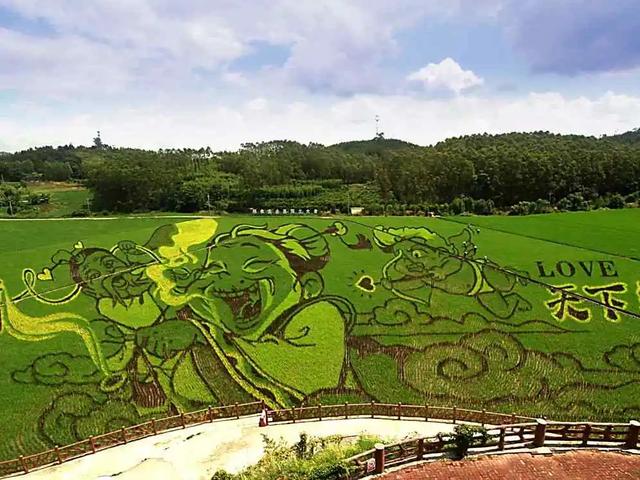 乐享田园·趣游南宁│稻香壮韵寻趣之旅