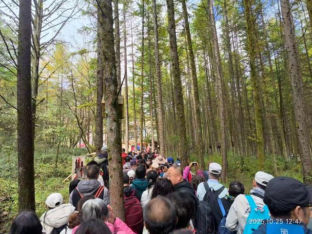 排队游览光雾山