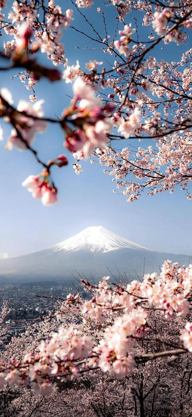 风景壁纸已送达