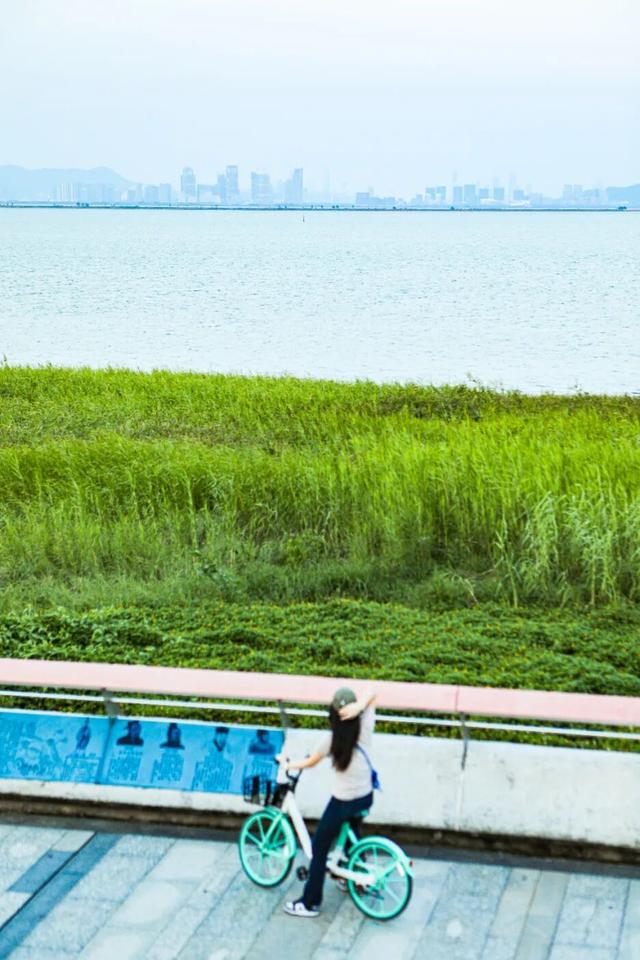 新「海岸乐园」！珠海下一个爆款