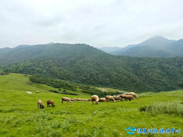 临夏初秋：山水画卷里的诗意与生机