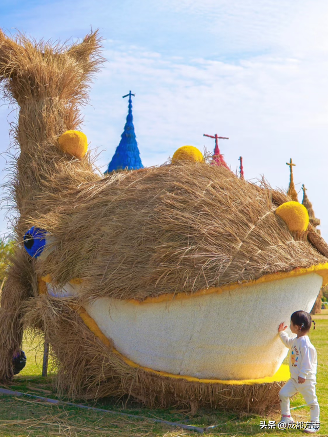 节后必冲！明星成都开唱，还有这些宝藏活动→