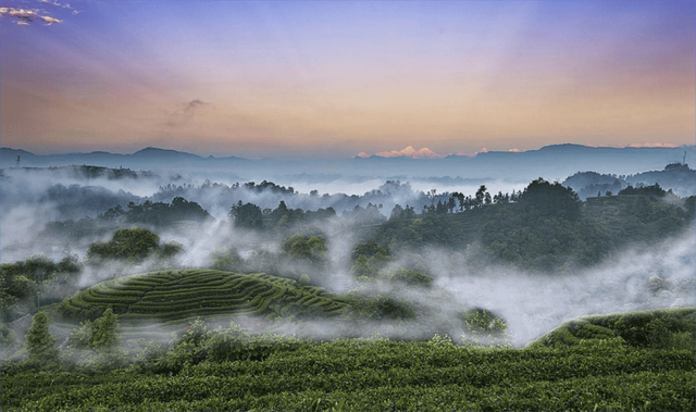 【人文地理】茶祖故里 毓秀名山