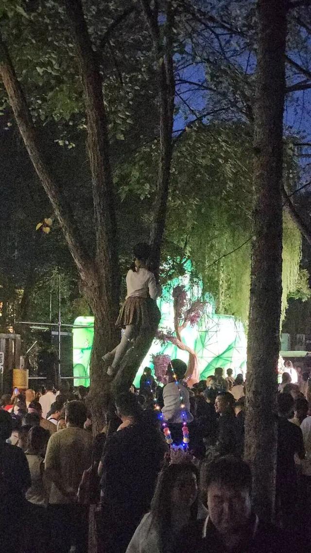 万人涌入长春动植物园看“雪饼猴”：家长肩头长满孩子，还有人爬树也要看