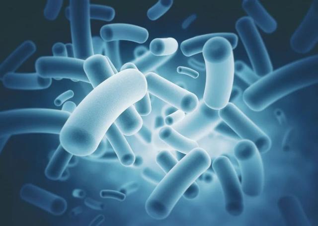 血压高的人不能吃柑橘？提醒：血压高的人尽量少碰这4种食物