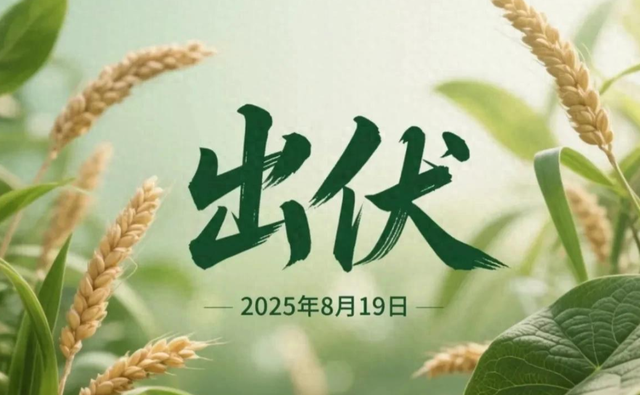 “冷不冷,就看末伏尾”,今天是末伏尾最后一天，今年冬天会很冷吗