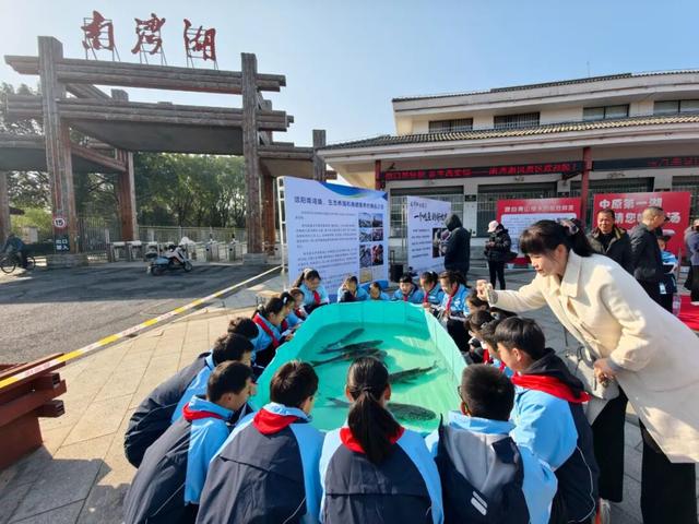 南湾湖请您免费喝鱼汤——冬日暖阳里的鲜味邀约