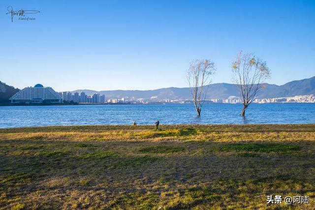 洱海的湿地公园很多，这几座孤岛风景不错，只是唯一的浮桥太晃荡