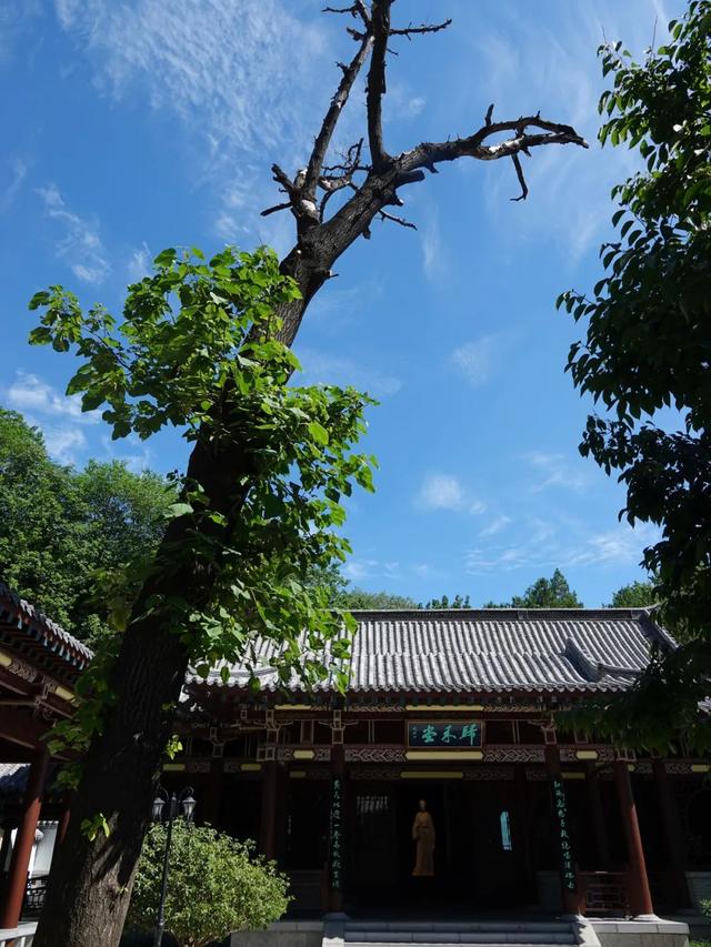 山东有座2000年前的名城，寻访李清照范仲淹们在青州古城的足迹