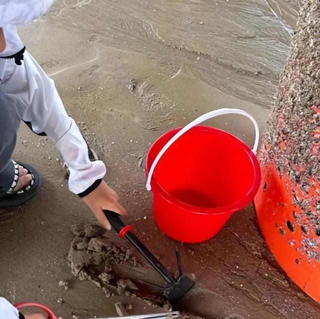 说走就走的温州之旅：从海鲜吃到人文，这趟 “盲盒” 旅行太值了！