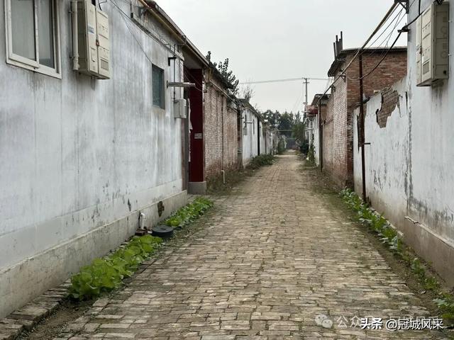 冠县乡韵·桑阿镇野场村