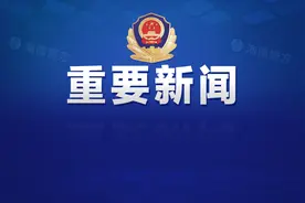 奋力开创公安工作现代化新局面图片