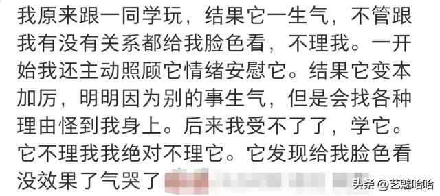回旋镖扎到自己才知道疼，网友：为了出这口恶气忍了五个月