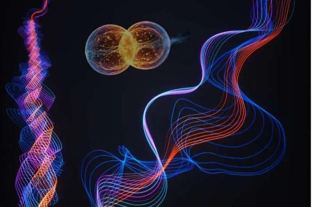 《自然·物理学》：中美联合团队发现了首个天然量子绝缘体