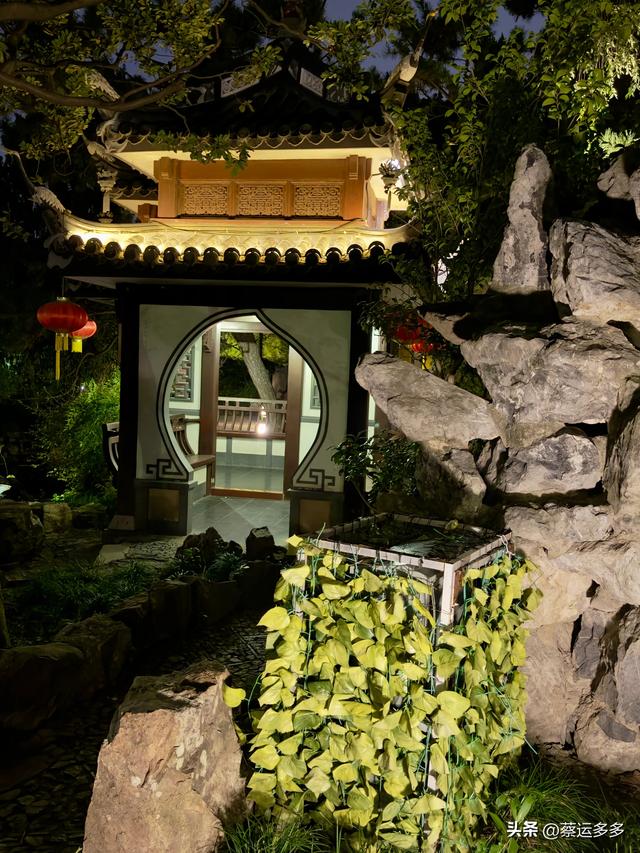 夜游上海古猗园，夜景璀璨迷人