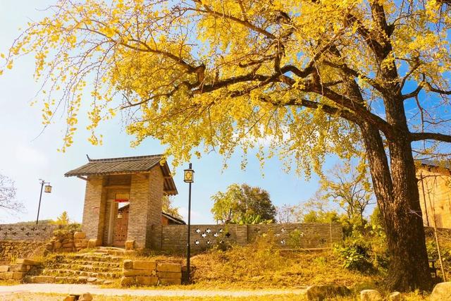 2025广东旅博会圆满落幕！韶关展厅展示非遗绝技+AI打卡、抽奖火出圈！实力诠释“天然氧吧，康养胜地”