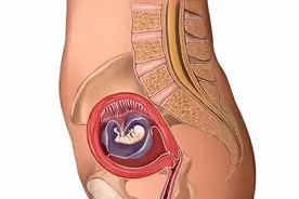 怀胎十月，胎儿在妈妈肚子是咋长大的？10张高清图带你了解图片