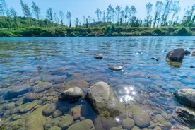 寡妇与猎户（6）—河边的野鸭蛋图片