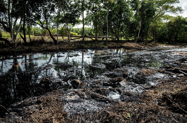 特朗普要抢委内瑞拉石油	，难度超出了他的想象，国内这关就过不去