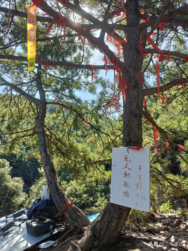 无为在歧路，壶关林州大名府5