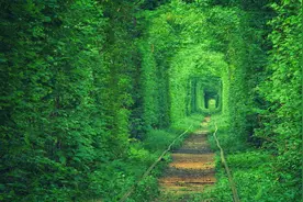 高中毕业27年，当年同一宿舍的四位老同学，生活现状让人意想不到图片