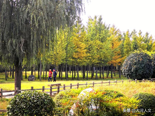 焦作生态植物园：限定浪漫，只有秋日