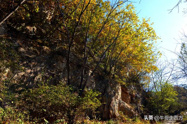 辽阳核伙沟（上）：百里锦绣廊、东北小黄山