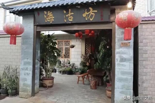 天晴就去！鸥鸟翩跹，这个免费国家级公园，藏着昆明最美的冬天