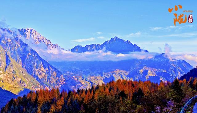 【小陇画报·439期】舟曲：绚丽赛尔布 斑斓满眼秋