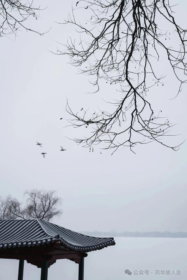 北京初雪，雪中颐和园太有意境了