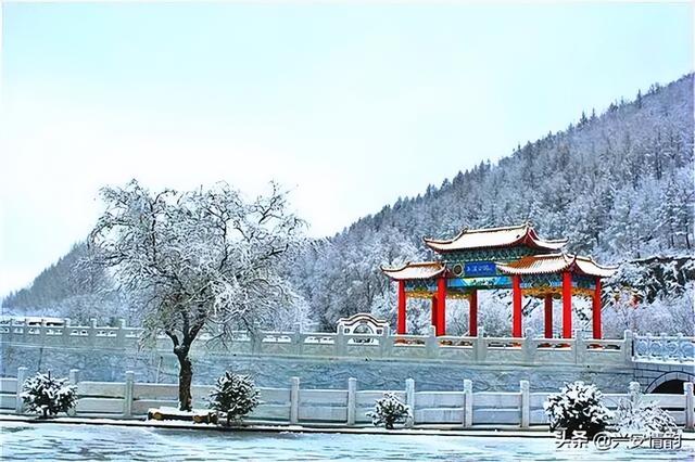 2025冬游牙克石全攻略｜3天解锁冰雪秘境极寒狂欢