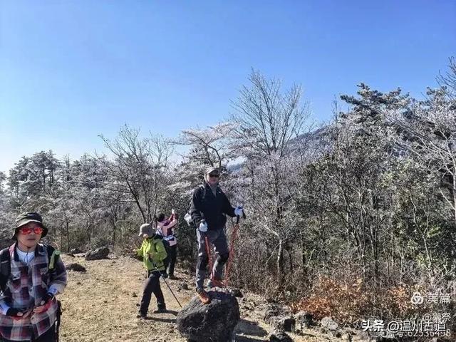 邂逅2026年的第一场醉美雾凇!温州四海山的雾凇美爆了!