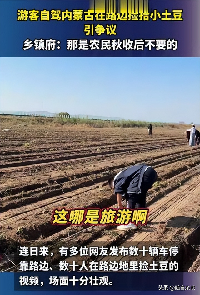 从“捡土豆”走红，看旅游的本真回归：玩就要玩出新花样