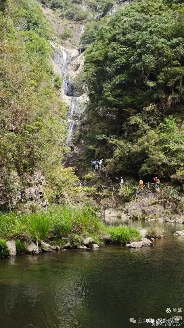隐藏在温州深山幽谷的绿野仙踪,免费开放,知道的人却极少!