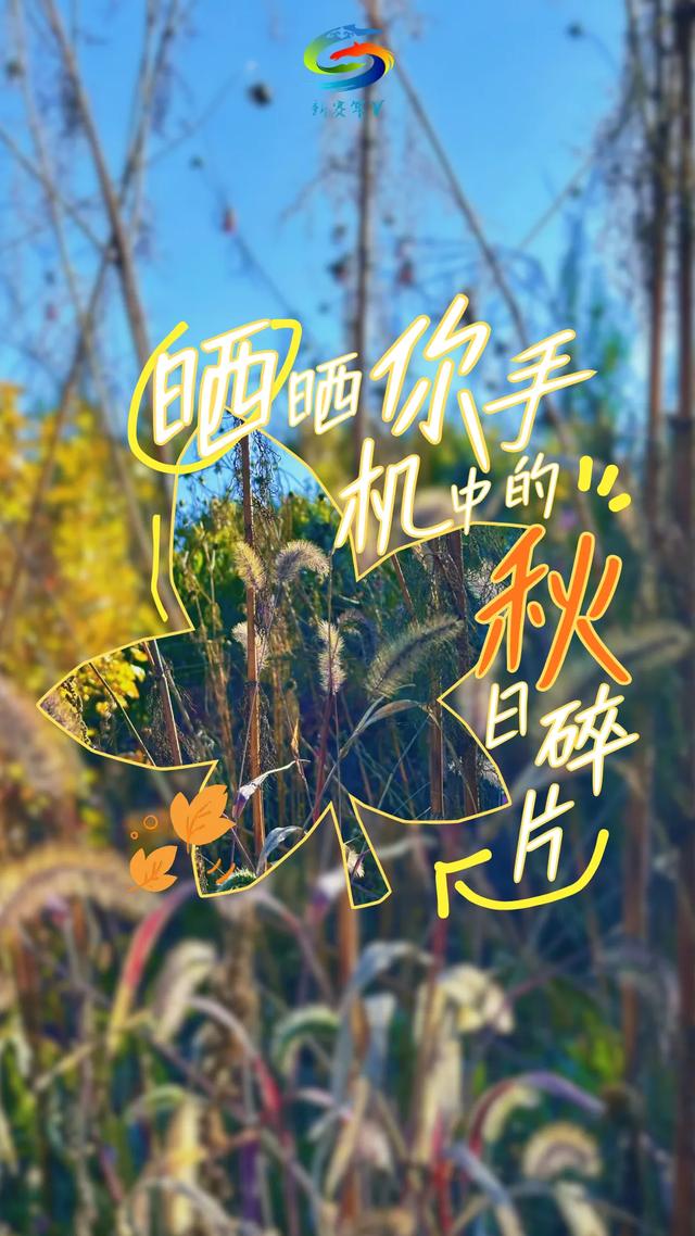 北疆文化 遇鉴赛罕 | 晒晒你手机中的赛罕秋色