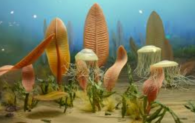 中国人为啥对酸味又爱又恨？一文讲清楚这背后的亿年演化历史