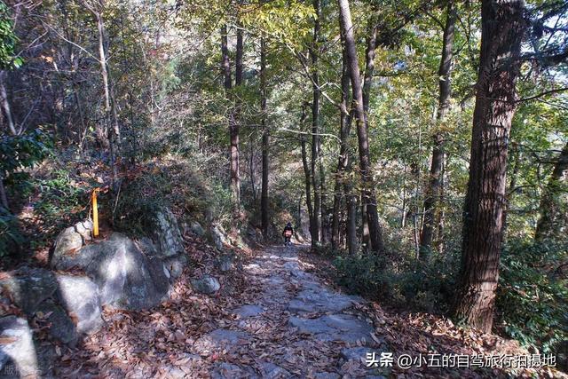 台州南黄古道徒步攻略：赏枫 3 环线 + 亲子友好