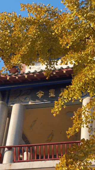 拜托，这真的很好看啊…