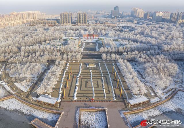 奇台雾凇上线！满城“银花”开，这是独属于昌吉的冬日浪漫