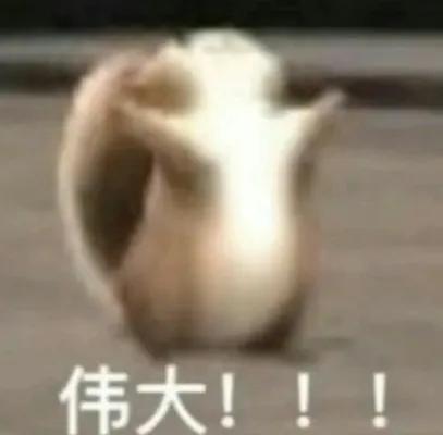 这对姐弟恋…这么甜的吗？我倒看看多好磕？