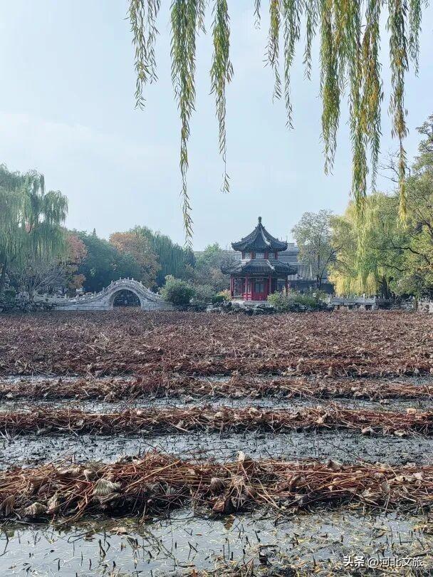 您预订的“诗与远方”已打包完毕！请签收