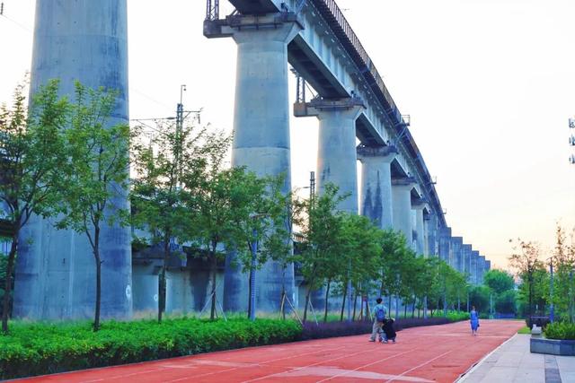 三条高铁并行！桥下还有“宝藏”，等你发现！