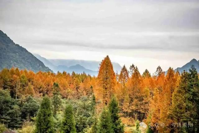 漫山彩林，琉璃坝的色彩美学