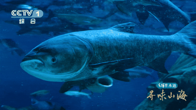 天下眉目之地，有何舌尖至味？