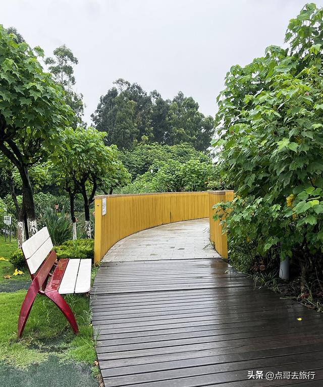 成都，最不可小看的公园，雨中超美，凉风阵阵，公共交通直达！