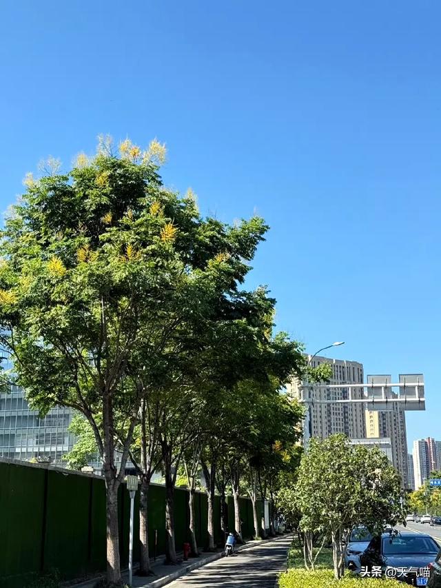 江苏省！本轮高温确定完成，分布如下，今夜至明天8月24号的天气