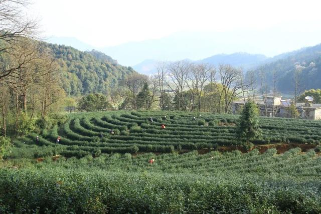 长乐庵景区滨水露营休闲暨第四届文化旅游节盛大开启！