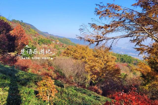 雪窦山深处的古村，周边的红枫胜境太美了，弥勒大佛观景地是亮点