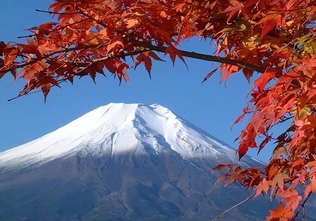 大量日本游客涌入北京，打着旅游幌子不去旅游不吃美食，为啥来？